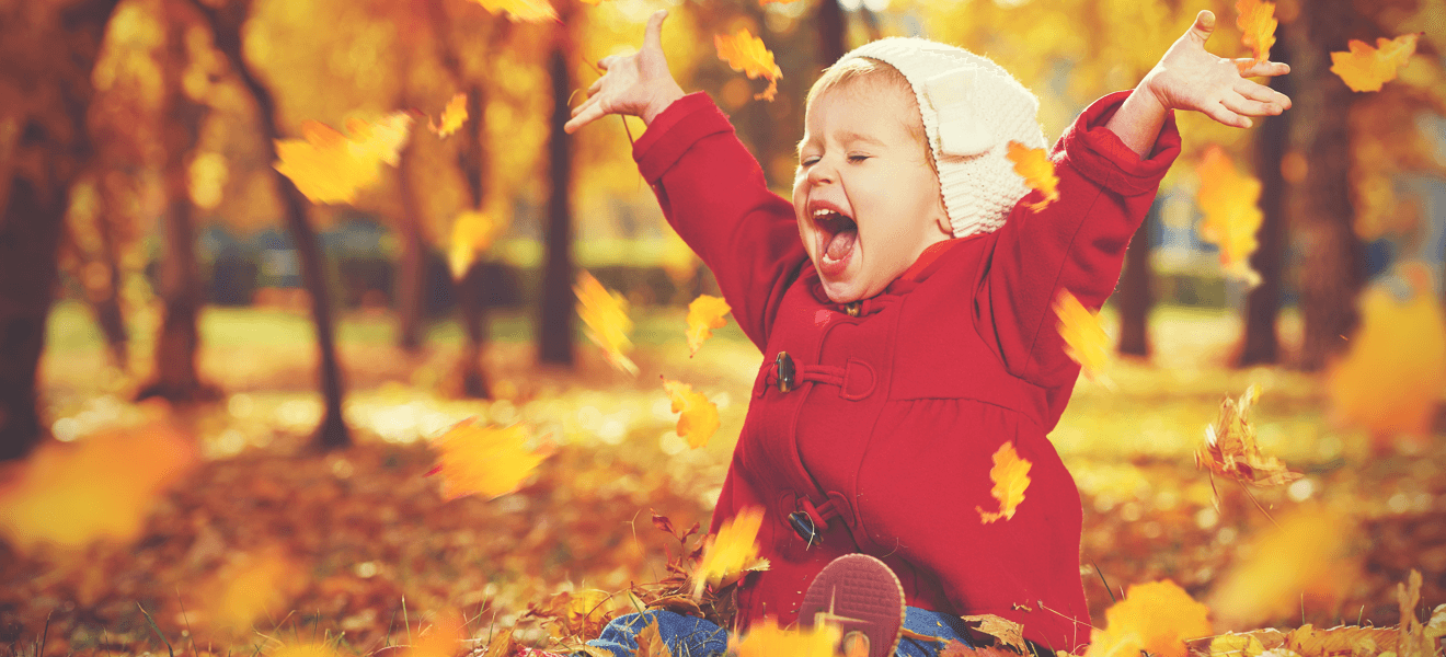Fun Family-Friendly Fall Activities Happy Toddler image